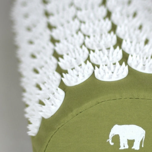 bed of nail Acupressure yoga