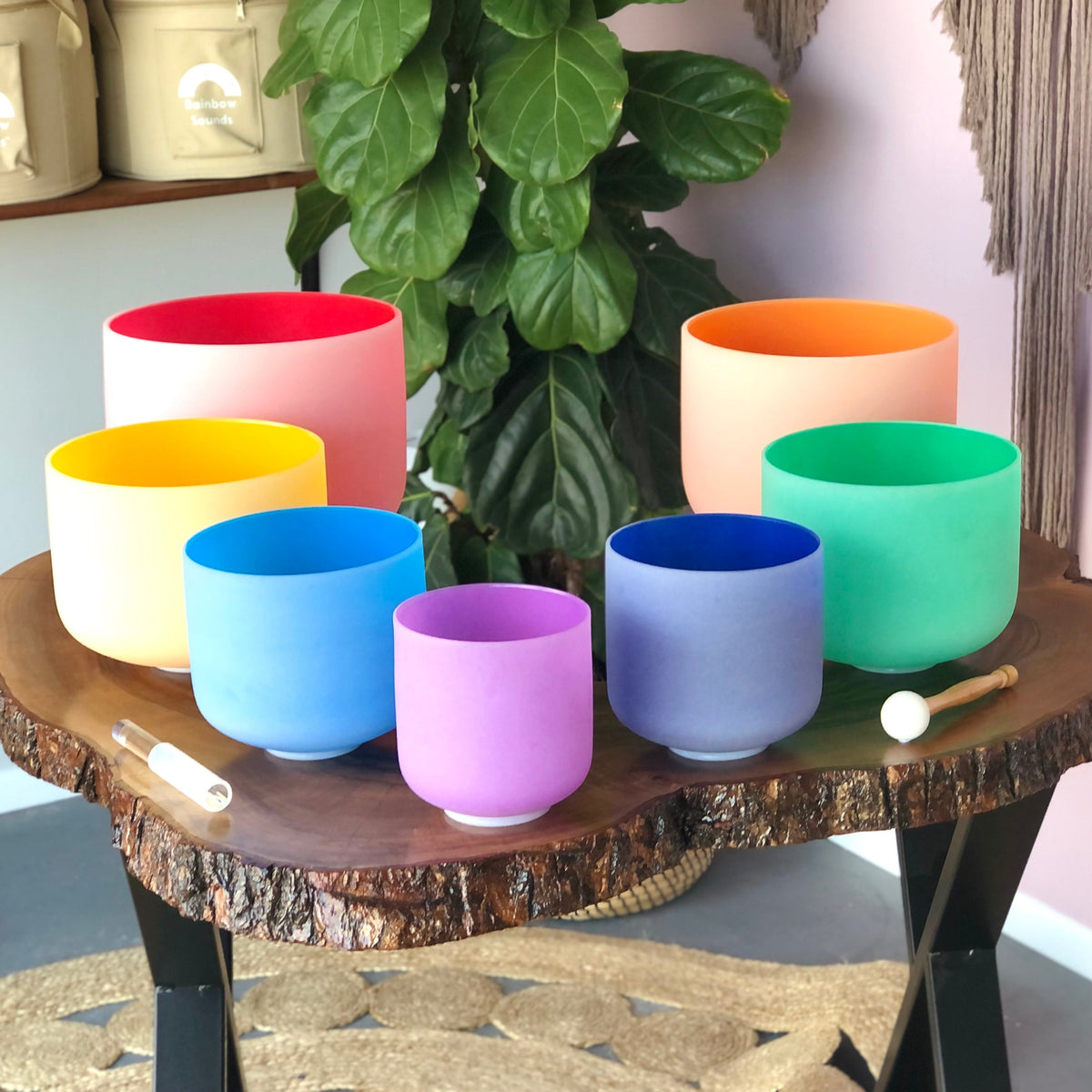 Set of colorful singing bowls on a wooden surface with a plant in the background.